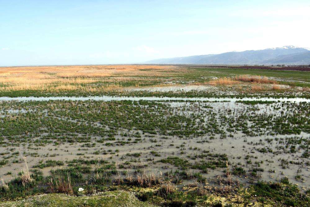 Konya’nın hocasıyla ünlü gölü 8 yıl sonra yeniden can buldu 4